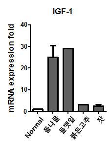 Enhancing effect of food extracts on IGF-1 expression in fibroblast