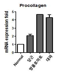 Enhancing effect of food extracts on procollagen expression in fibroblast