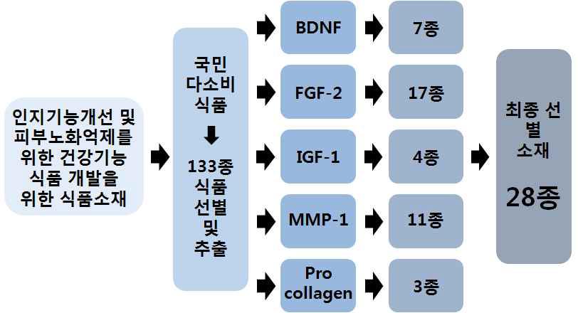 1차년도 결과 요약