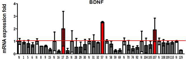 Enhancing effects of food extracts on BDNF expression in fibroblast