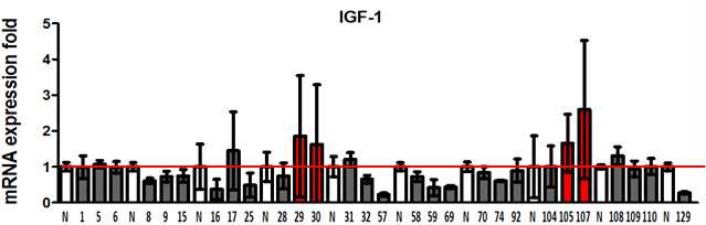 Enhancing effects of food extracts on IGF-1 expression in fibroblast