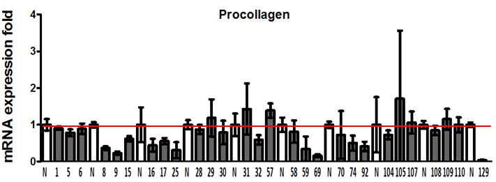 Enhancing effects of food extracts on procollagen expression in fibroblast