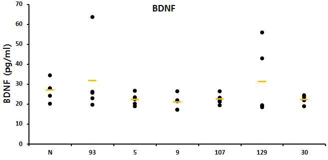 Enhancing effects of food extracts on BDNF production in serum isolated from mice