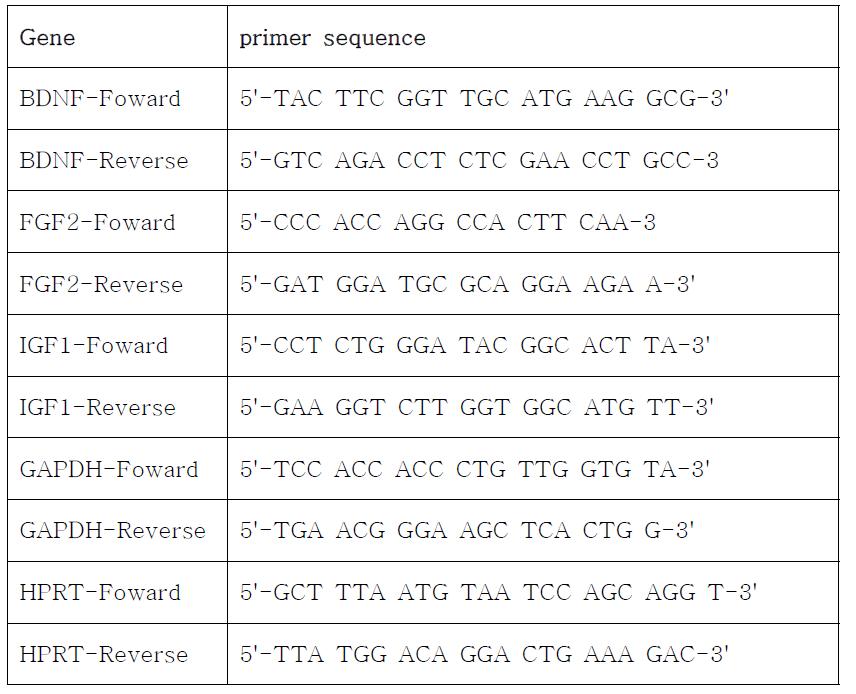 primer sequences for real time PCR