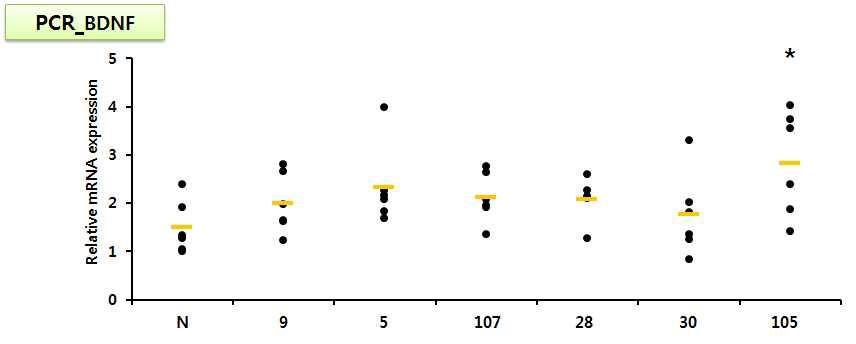 Enhancing effects of food extracts on BDNF production in ICR mice