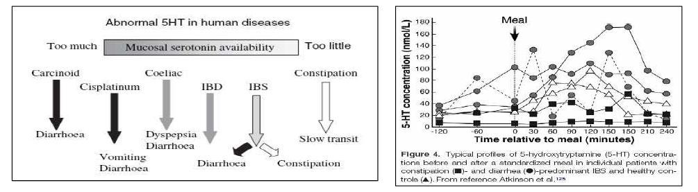 소화관 질환에서 비정상적인 serotonin 분비