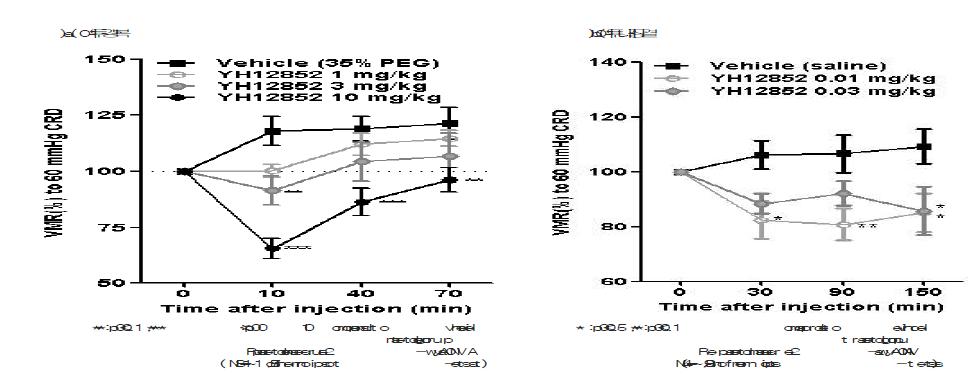 초산유도 과민성 랫드에서 YH12852의 복통억제효과