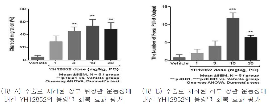 YH12852 경구 투여에 따른 기니피그에서의 수술 후 장폐색 모델 개선 효능 평가