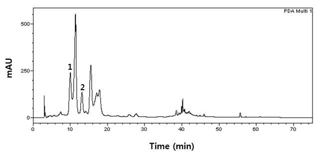 질경이 추출물의 에틸아세테이트 분획의 HPLC 크로마토그램