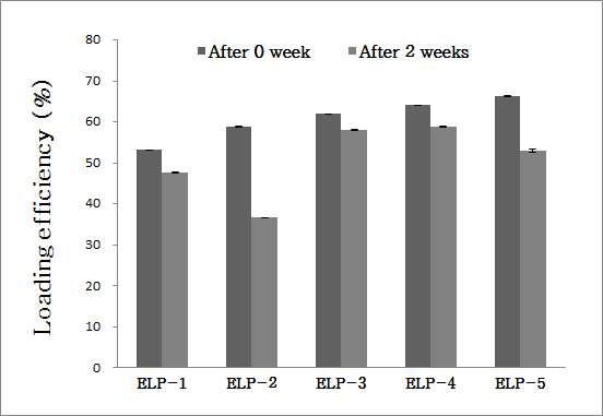 마디풀 추출물을 담지한 탄성 리포좀의 2주 동안의 포집효율 변화