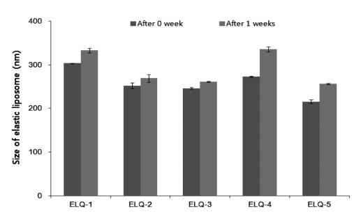 1주 동안의 탄성 리포좀 입자크기 변화
