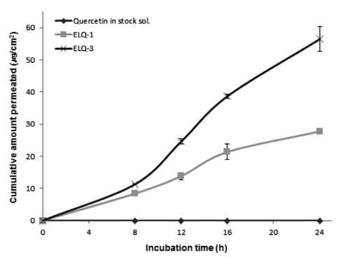 쿼세틴을 담지한 1,3-butylene glycol 용액, 일반 리포좀(ELQ-1), 탄성 리포좀(ELQ-3)의 시간별 피부 투과량