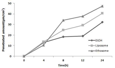 24시간 동안 쥐의 등피부에 투과된 마디풀 추출물의 양 (transdermal : permeated through skin).