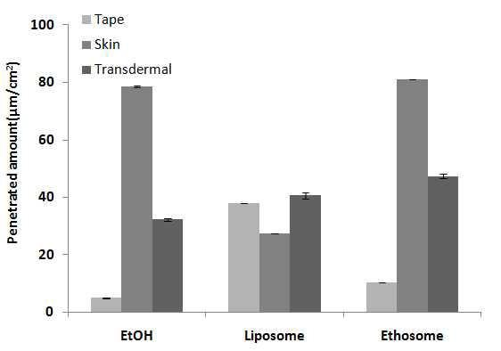 24시간 후 쥐의 등피부 투과 부위에 따른 각각의 마디풀 추출물의 양(Tape : stratum corneum, skin : epidermis without stratum corneum and dermis, transdermal : permeated