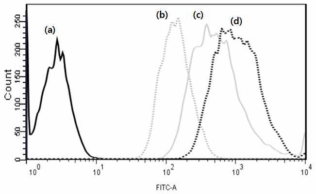 유세포 분석 ; DOTAP 양에 따라 제조된 FITC 담지 양이온 리포좀의 세포내 이입 ; (a) negative cell, (b) 양이온 리포좀(DOTAP 1 mM), (c) 양이온 리포좀(DOTAP 2 mM), (d) 양이온 리포좀(DOTAP 3 mM)