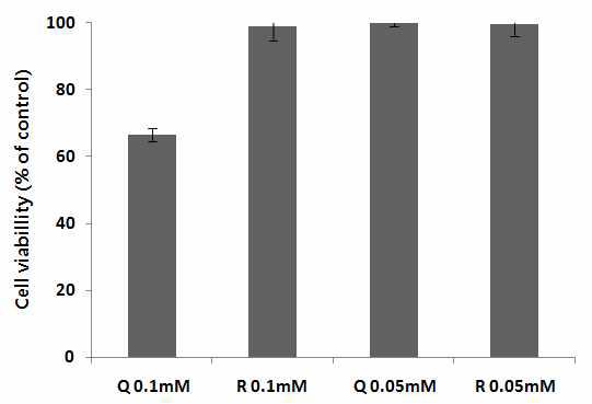 쿼세틴과 루틴의 세포 생존율.