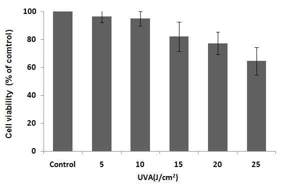 UVA 조사량에 따른 HaCaT 세포 생존율.