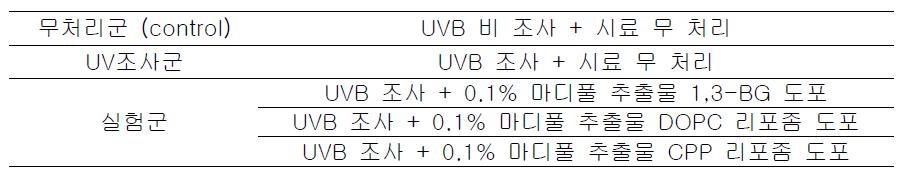 UV 조사 및 시스템 처리에 따른 분류