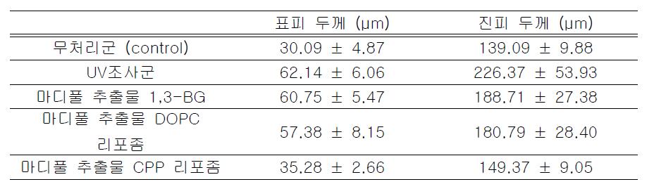 실험 종료 후 hairless mouse의 표피와 진피의 평균 두께