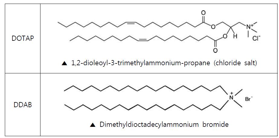 리포좀 제조에 사용한 양이온 지질의 구조