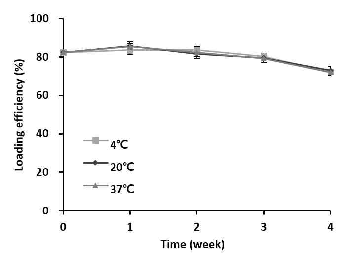 여뀌 추출물을 담지한 양이온 리포좀의 4주간 온도별 포집 효율 변화