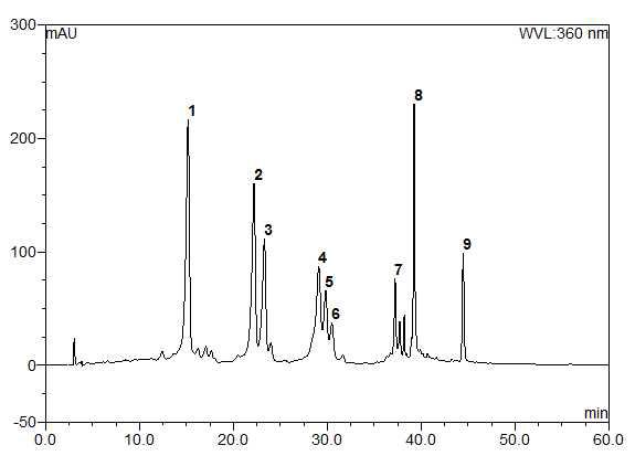 마디풀 추출물 ethyl acetate 분획의 HPLC 크로마토그램 (파장 = 360 nm) １: PA 8, ２ : PA 5, ３ : PA 6, ４ : PA 7, ５ : PA 3-1, ６ : PA 4, ７ : PA 3, 8 : PA 2, 9 : PA 1.