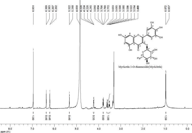 마디풀 추출물(ethyl acetate fraction)의 HPLC peak 1(myricitrin)의 1H-NMR 스펙트럼.