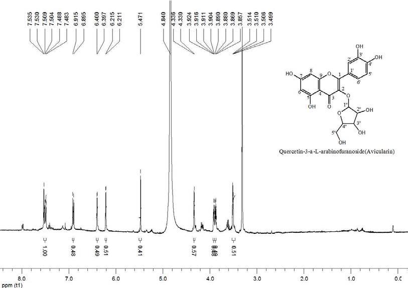 마디풀 추출물(ethyl acetate fraction)의 HPLC peak 2(avicularin)의 1H-NMR 스펙트럼.