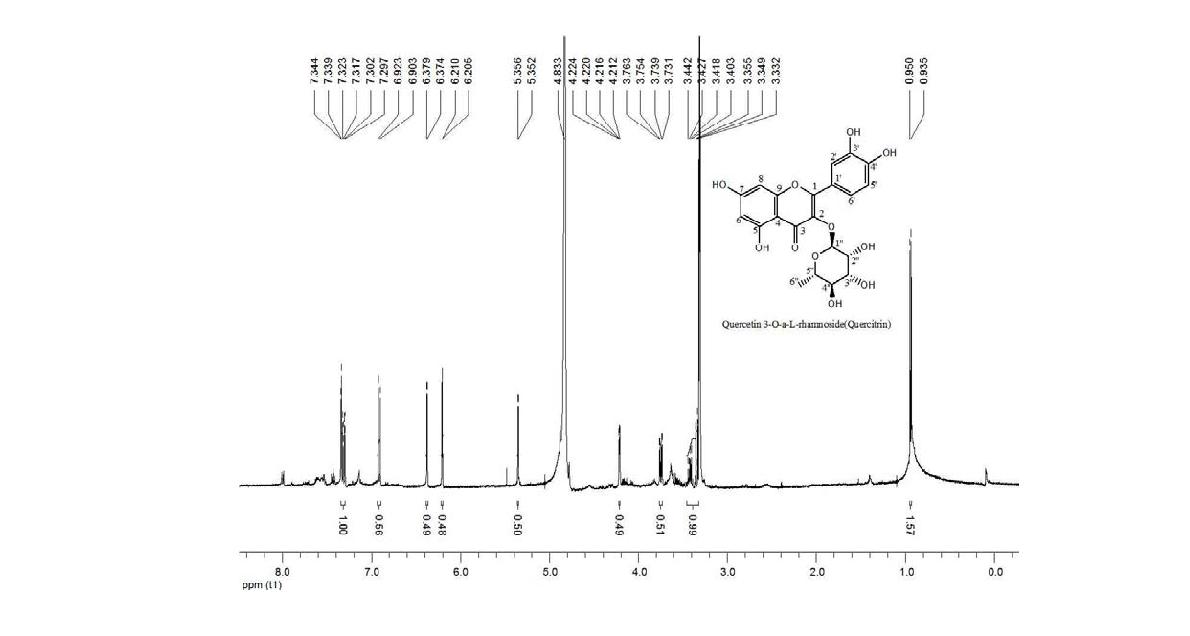 마디풀 추출물(ethyl acetate fraction)의 HPLC peak 3(quercitrin)의 FT-IR 스펙트럼.
