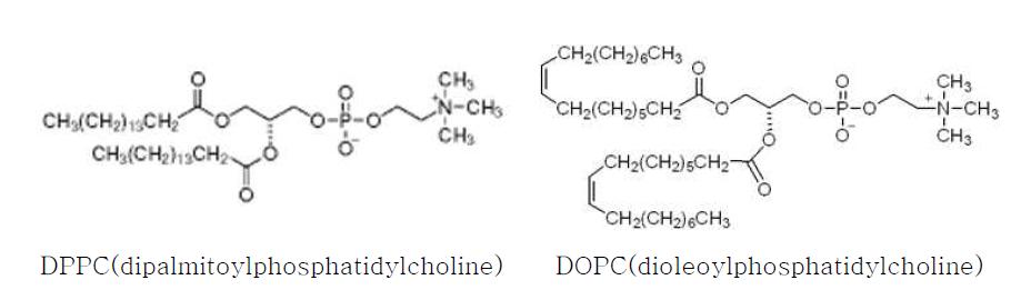 DPPC, DOPC의 구조.
