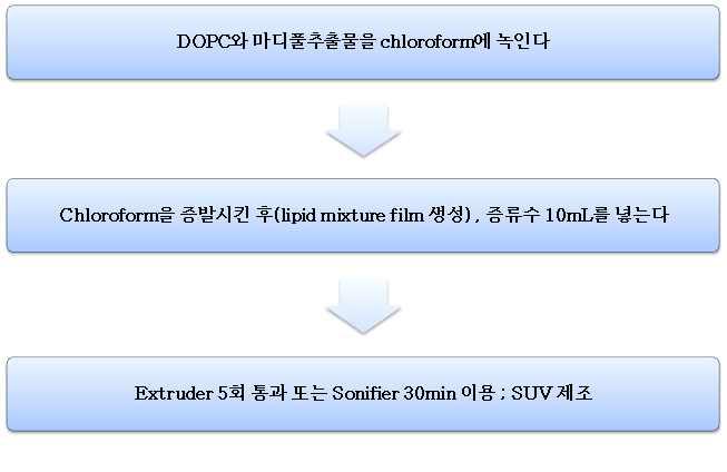 인지질을 이용한 리포좀을 제조하는 방법.