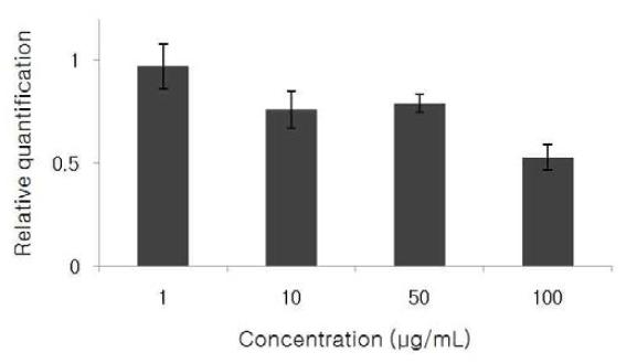 농도별 마디풀 추출물 처리에 따른 MMP-1 mRNA의 상대적인 발현양.