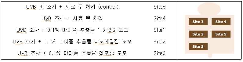 UV 조사 및 시스템 처리에 따른 site 분류