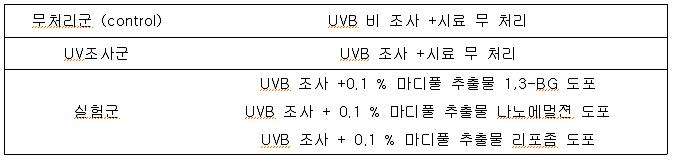 UV 조사 및 시스템 처리에 따른 분류