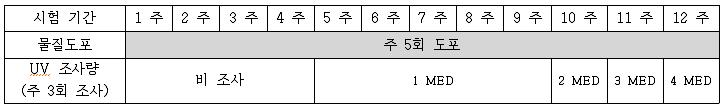 주름 유도를 위한 기간별 UV 조사량 (MED, minimal erythema dose)