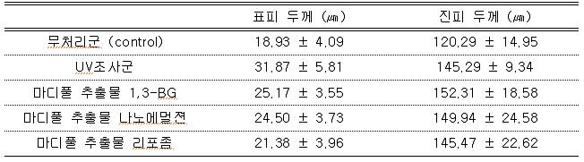 실험 종료 후 hairless mouse의 표피와 진피의 평균 두께