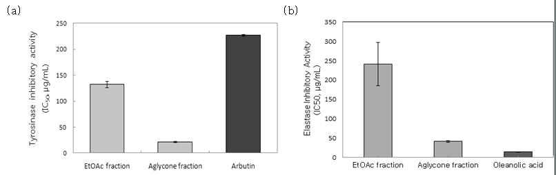 참가시나무 잎 추출물의 (a)tyrosinase 저해 활성과 (b)elastase 저해 활성 (IC50).