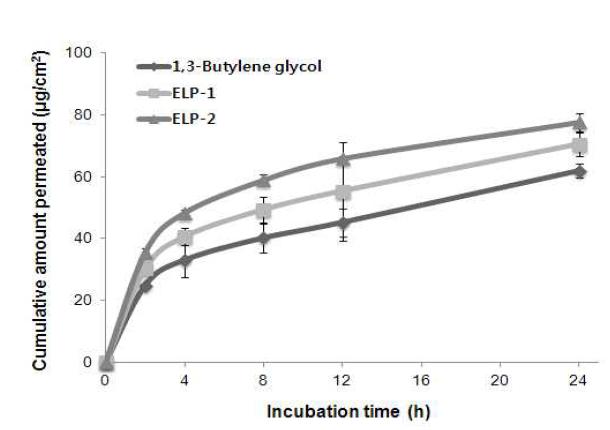 여뀌 추출물 담지 탄성 리포좀 시스템의 시간별 피부 투과량 (1,3-butylene glycol, ELP-1, ELP-2)