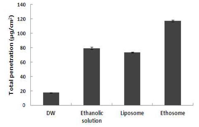 에토좀 및 대조군의 여뀌 추출물 총 피부 투과량
