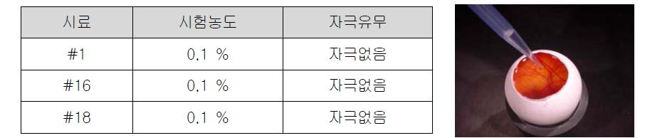 신규 복합미백소재의 HET-CAM 시험 결과