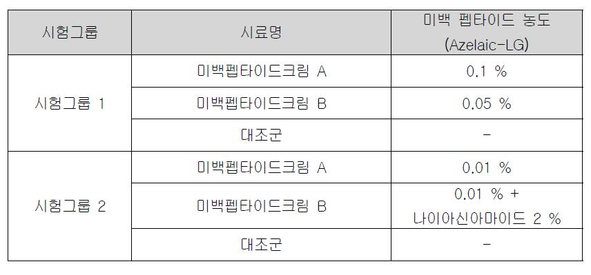 인체적용시험 시험그룹