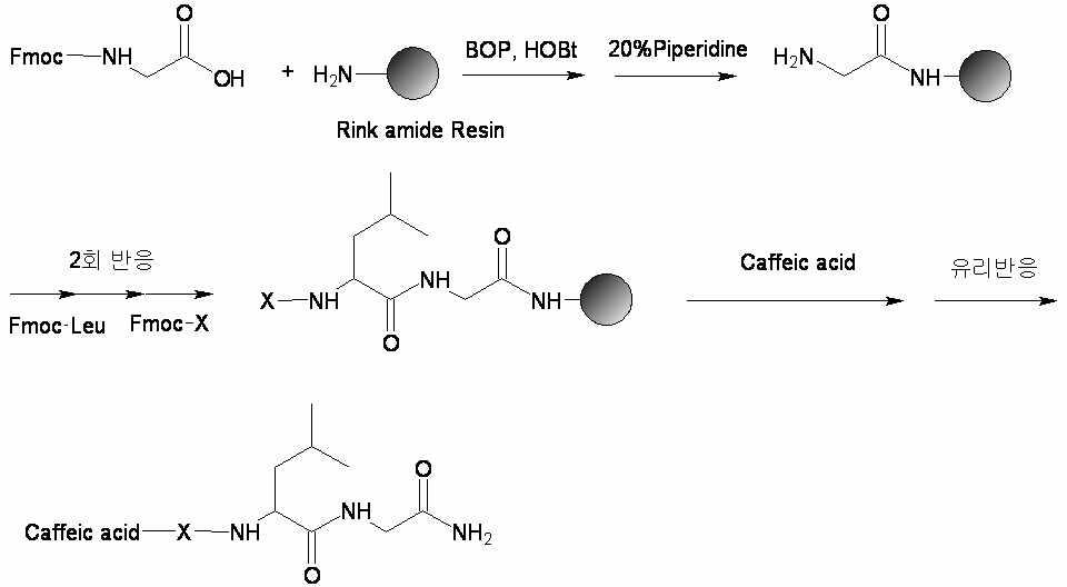 Rink amide Resin을 이용한 고체상 합성