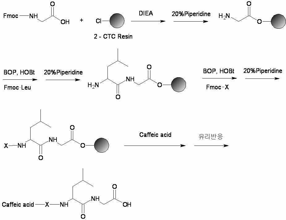 2-CTC Resin을 이용한 고체상 합성