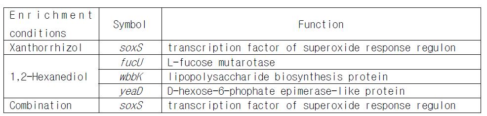 Xanthorrhizol, 1,2-hexanediol 그리고 조합에 의해 enrichment된 유전자.