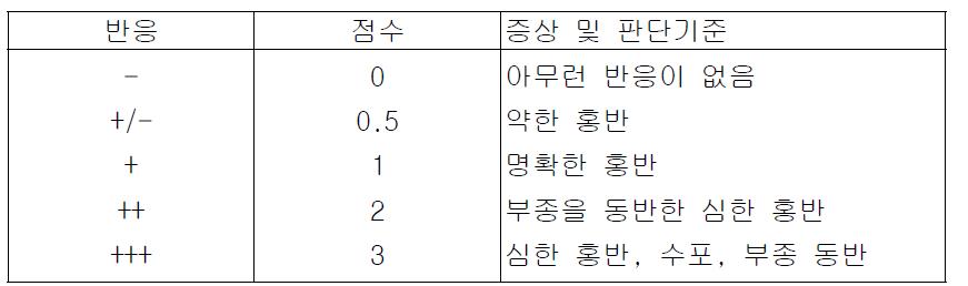 인체첩포시험의 판정 기준