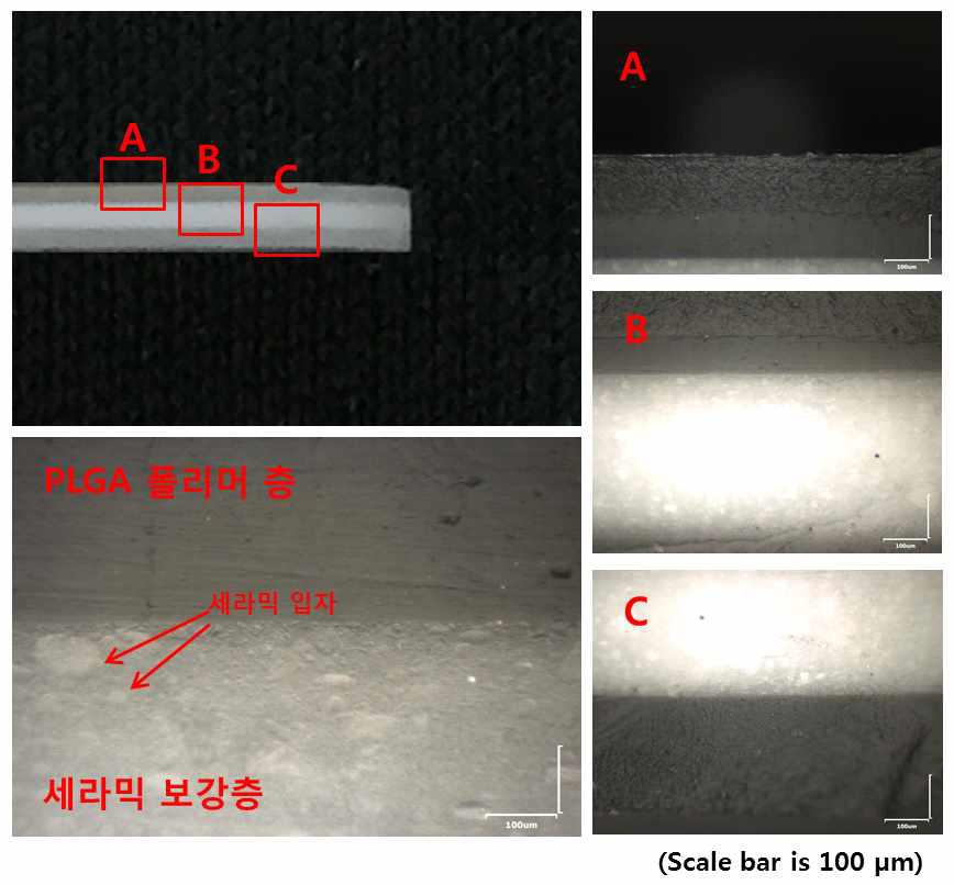 세라믹 보강층을 갖는 3Layers 적층 시편의 측면 광학현미경 이미지