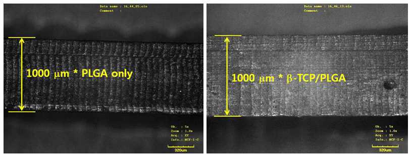 PLGA 단일 및 Biocomposite 단일층 시편의 측면 콘포칼 현미경 이미지