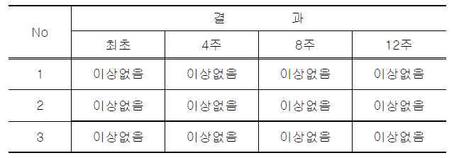 분해성능 육안검사