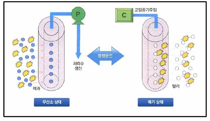 산기관과 분리막 병행운전 시스템 개략도