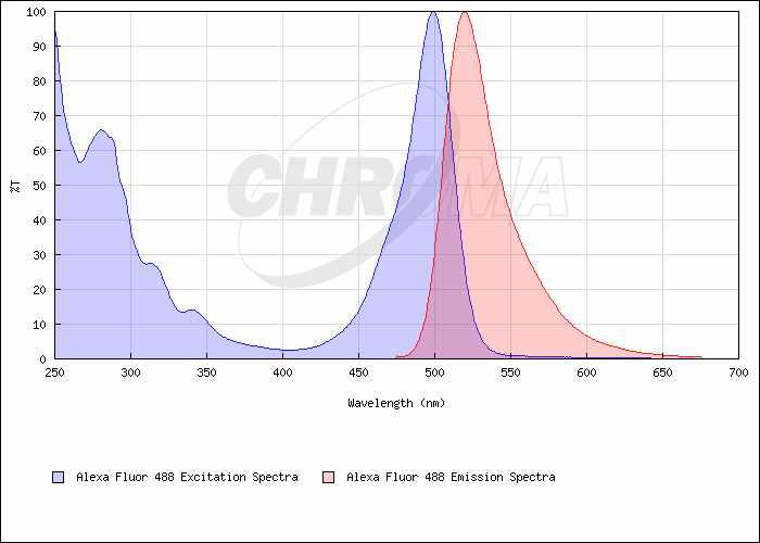 Alexa Fluor 488 형광물질의 여기 및 방출 파장